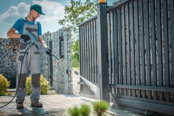 Best Solar Panel Cleaning  in Lamont, CA