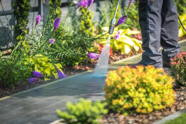 Best Restaurant Pressure Washing  in Lamont, CA